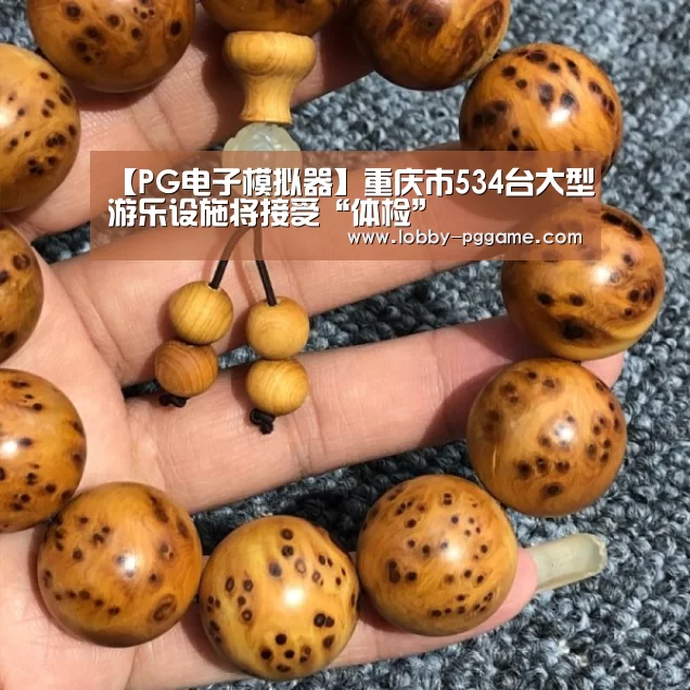 【PG电子模拟器】重庆市534台大型游乐设施将接受“体检”(图1) PG电子模拟器