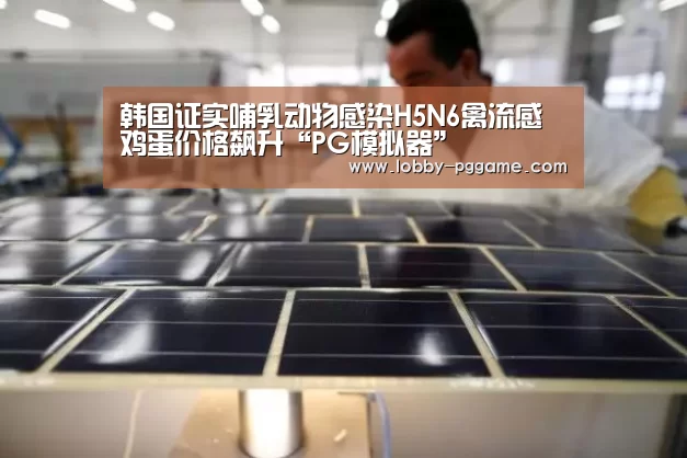 韩国证实哺乳动物感染H5N6禽流感 鸡蛋价格飙升“PG模拟器”(图1) PG模拟器
