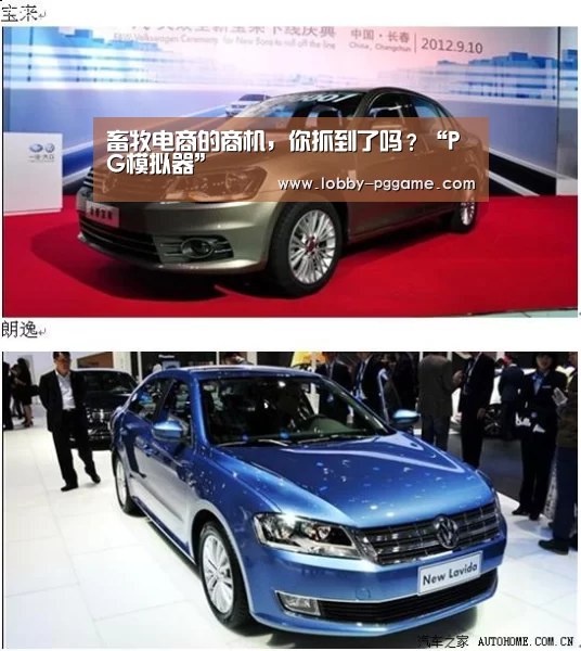 畜牧电商的商机,你抓到了吗?“PG模拟器”(图3) pg电子