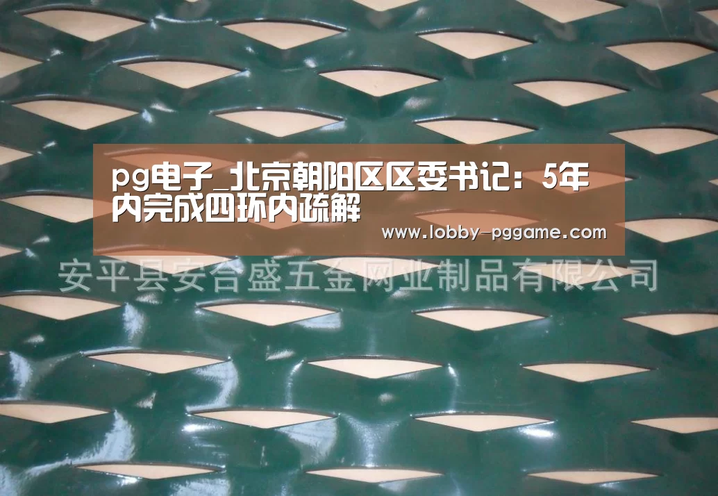 pg电子_北京朝阳区区委书记:5年内完成四环内疏解(图3) pg电子