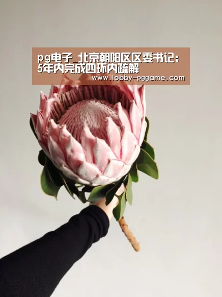 pg电子_北京朝阳区区委书记:5年内完成四环内疏解(图4) PG电子模拟器