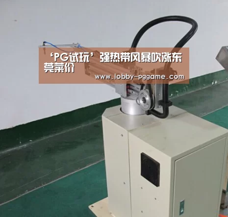 ‘PG试玩’强热带风暴吹涨东莞菜价(图1) pg电子