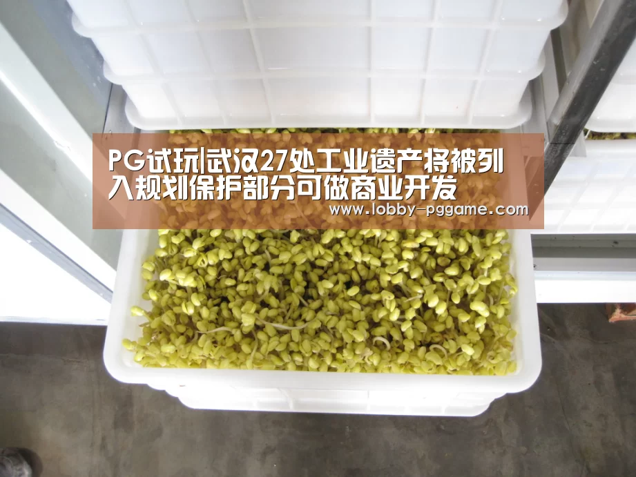 PG试玩|武汉27处工业遗产将被列入规划保护部分可做商业开发(图4) pg电子