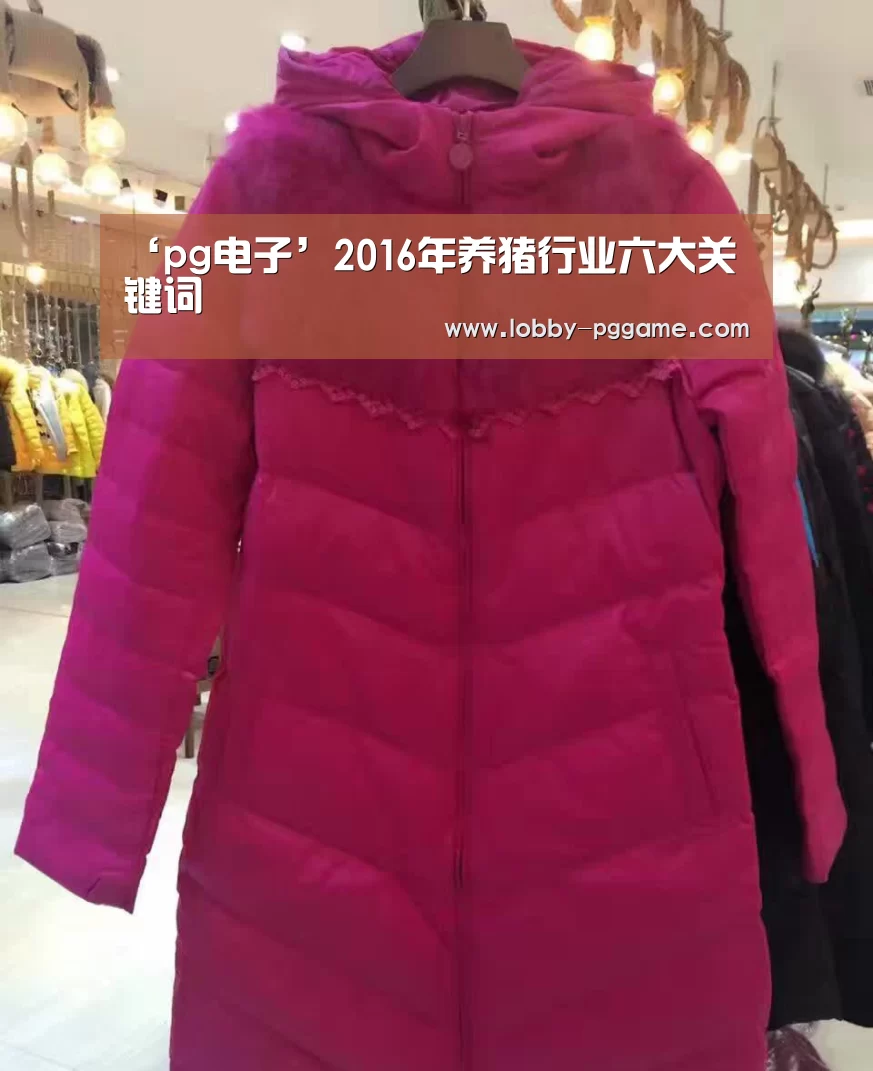 ‘pg电子’2016年养猪行业六大关键词