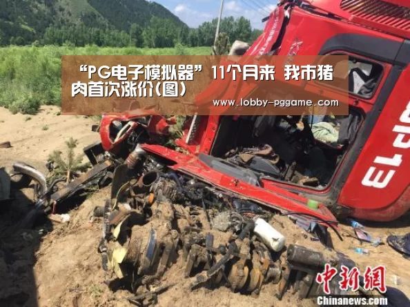 “PG电子模拟器”11个月来 我市猪肉首次涨价(图)(图4) pg电子