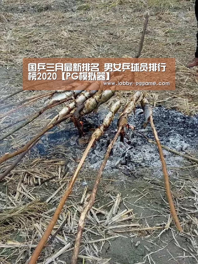 PG模拟器