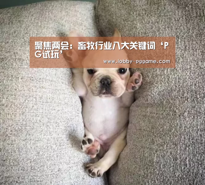 聚焦两会:畜牧行业八大关键词‘PG试玩’(图3) PG试玩