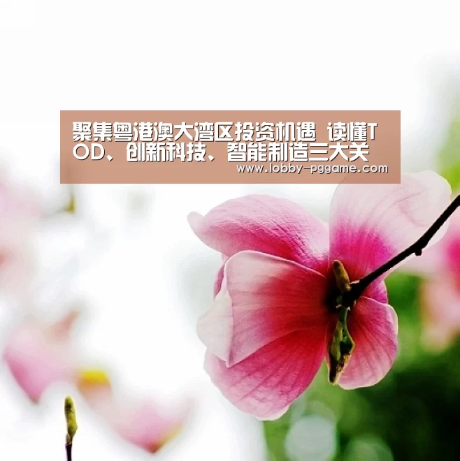 聚集粤港澳大湾区投资机遇 读懂TOD、创新科技、智能制造三大关键词:pg电子(图1) PG试玩