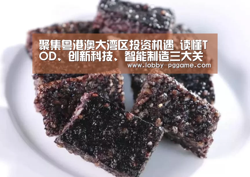 聚集粤港澳大湾区投资机遇 读懂TOD、创新科技、智能制造三大关键词:pg电子(图3) PG试玩