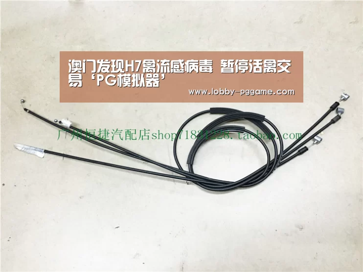 澳门发现H7禽流感病毒 暂停活禽交易‘PG模拟器’(图2) PG试玩