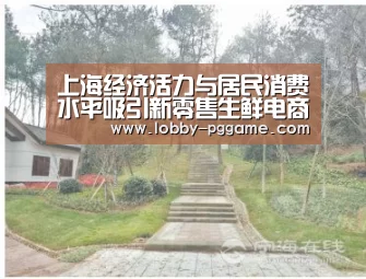 上海经济活力与居民消费水平吸引新零售生鲜电商入市‘pg电子’(图1) PG模拟器